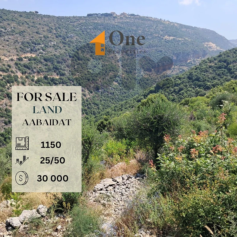 LAND FOR SALE IN AABEIDAT
