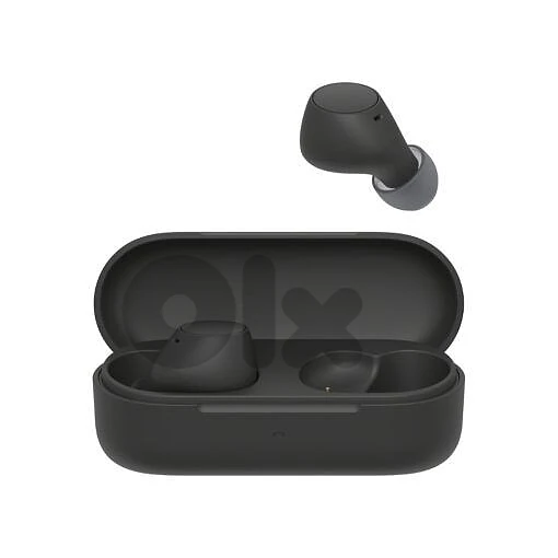 Sony WF-C510 Truly Wireless Earbuds