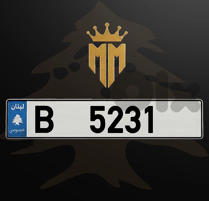B 5231