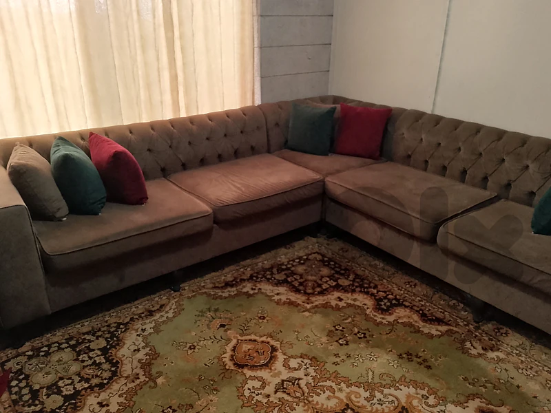 عاليه
