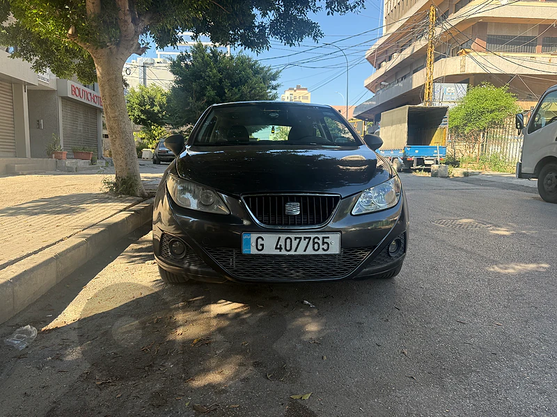 Seat Ibiza 2009 3