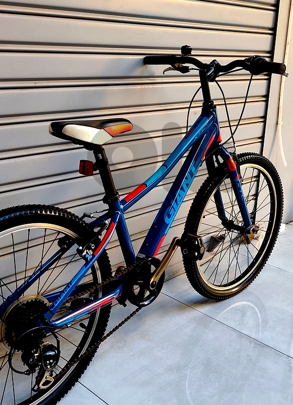 bicycle 24 🇺🇸