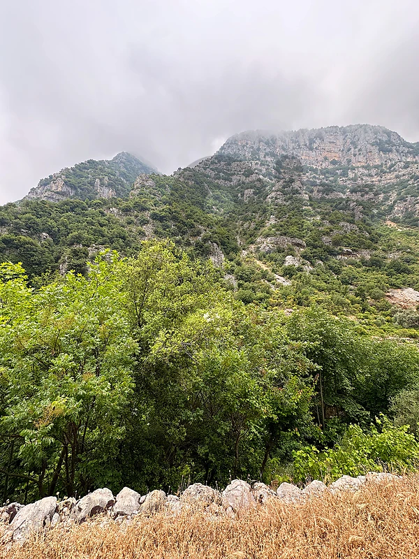 Mountain Land for Sale in Wadi Tannourine El Tahta – Main Road Access