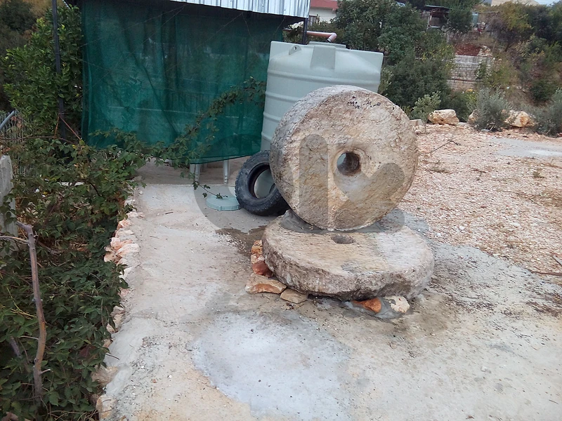 olive press wheel