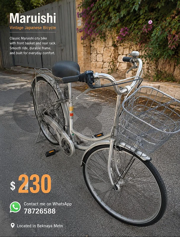 vintage bike
