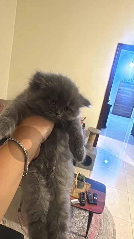 pick me please 🥹