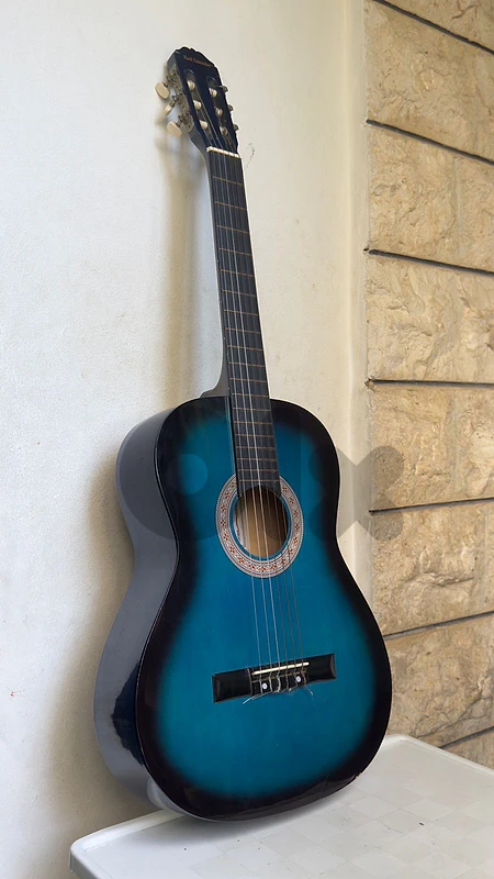 Karl Schneider Blue Guitar
