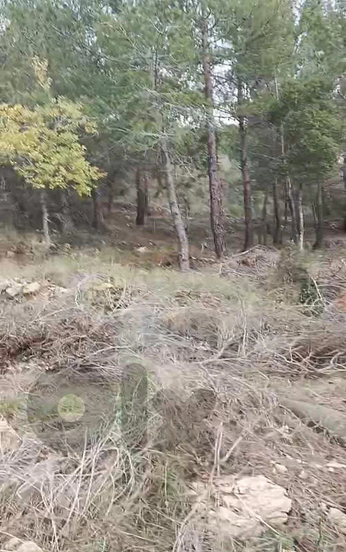أرض للبيع في عيناب land for sale in ainab