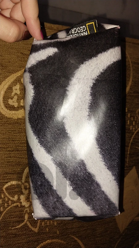 Pencil Case