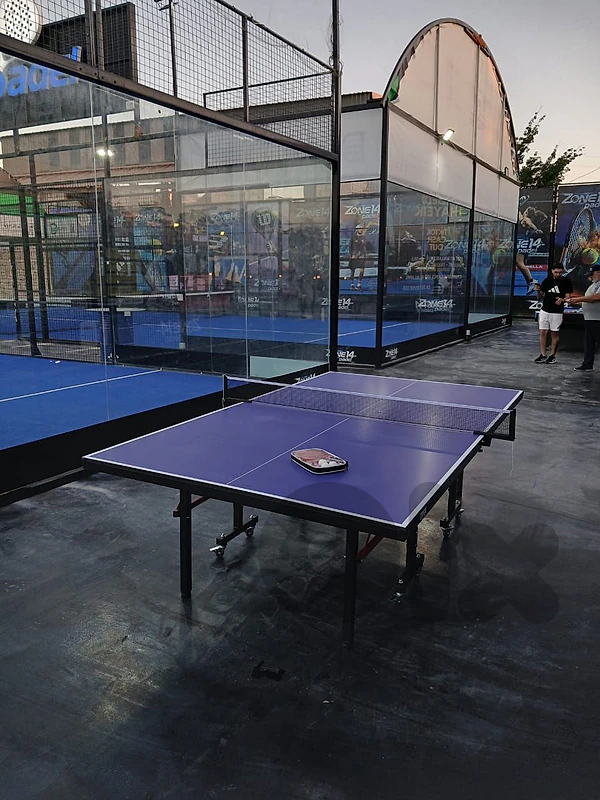 pingpong table طاولة بينغ بونغ