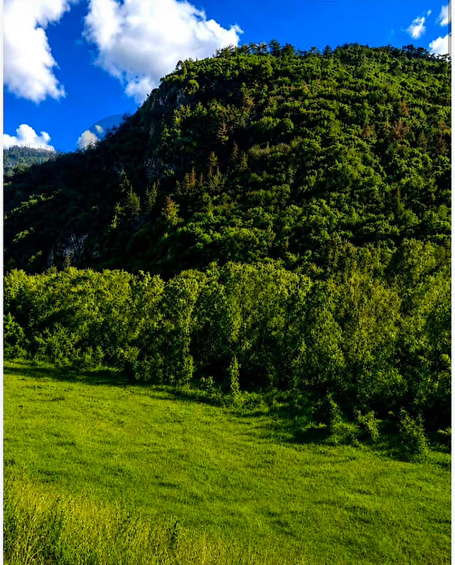 Dream Land Awaits in Damour! 17,271 sqm - $650,000! Dream Land Awaits in Damour! 17,271 sqm - $650,000!