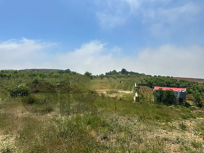 land for sale +water