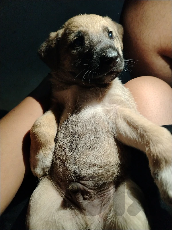 age 1 month