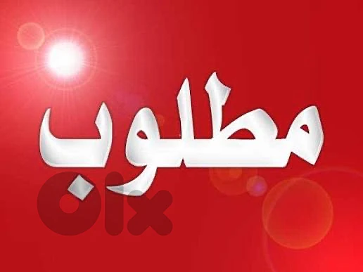 مطلوب بضاعة تصفية شيلة وحدة