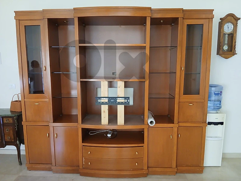 Wooden Vitrine With TV Holder