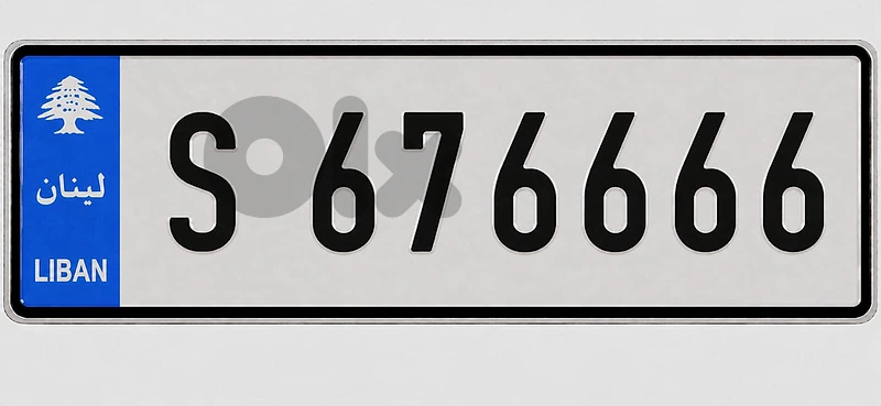 S676666