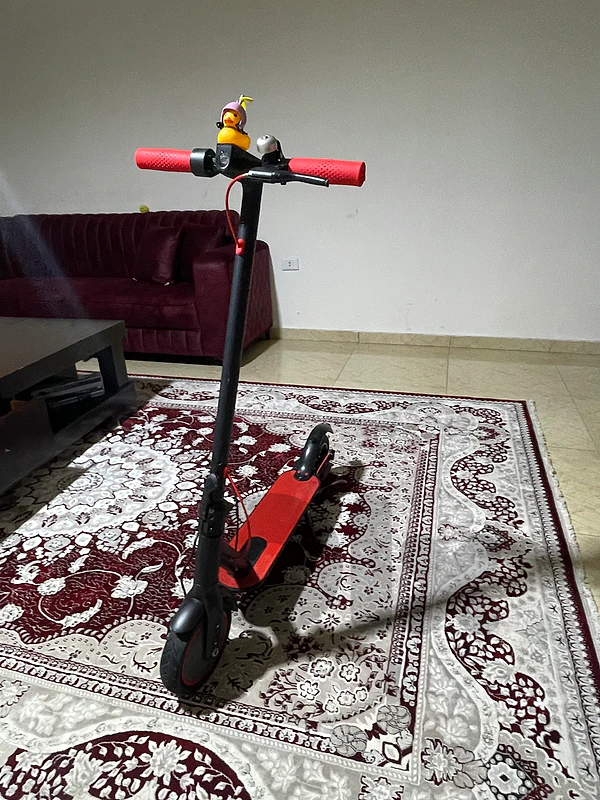Electric scooter
