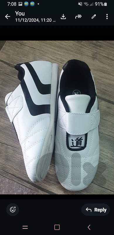 Taekwondo shoes