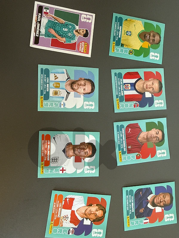 panini world cup duplicates + extra sticker