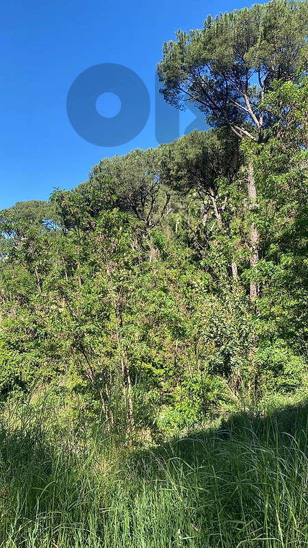 Tranquil 3000 SQM Land for Sale in Baabdet – Nature’s Haven Awaits!