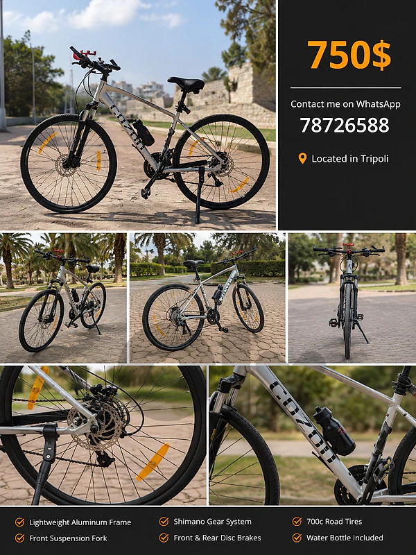 Cozon bike