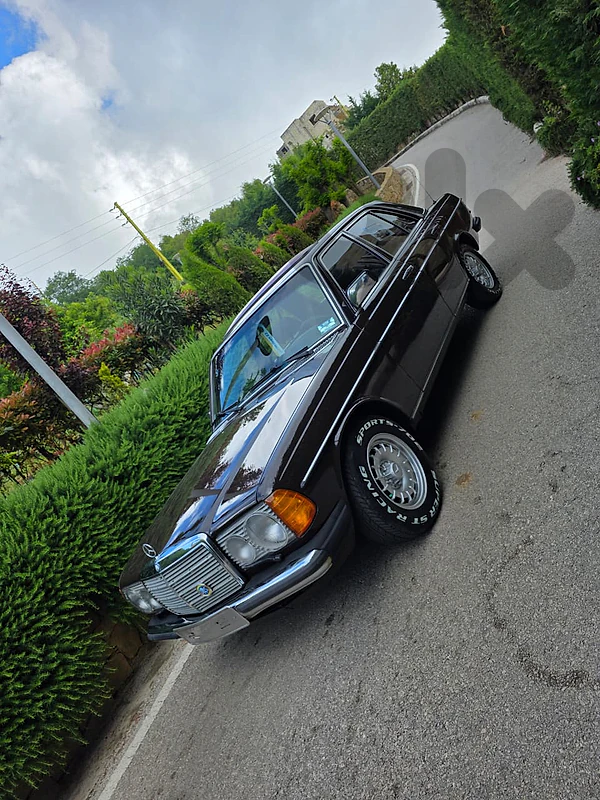 Mercedes 230 1980 collection car