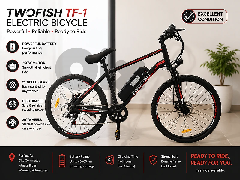 ⚡ TWOFISH TF-1 Electric Bike – Save Money on Benzine