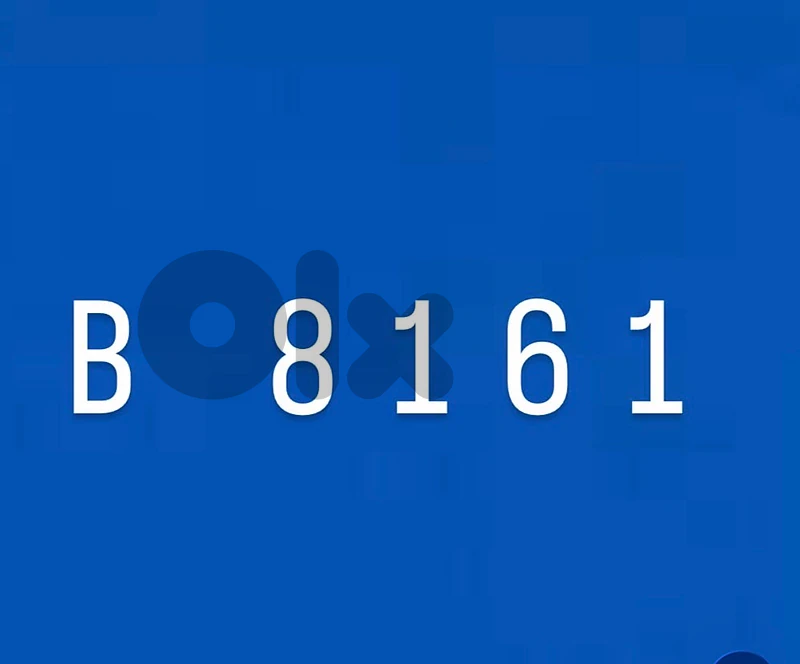 B 8161