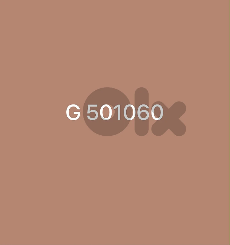 number plate G 501060