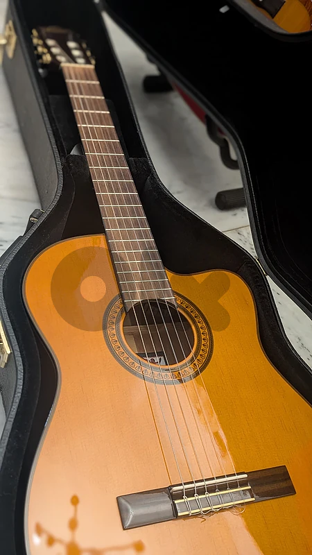 Electro Classical guitar Oscard Schmidt