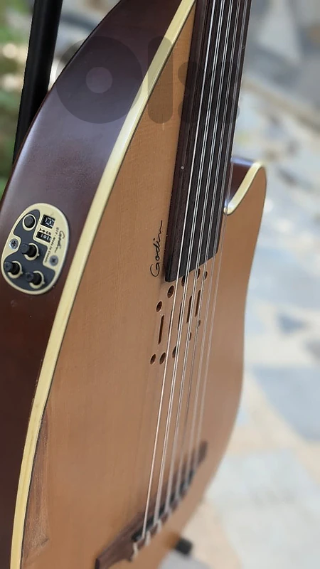 Godin Oud