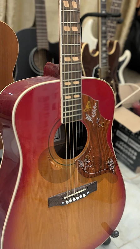 Vintage Acoustic guitar Hondo II hummingbird