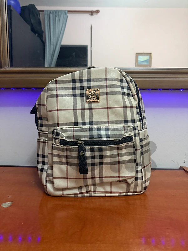 Beige chic Women Bag (mini-university bag)