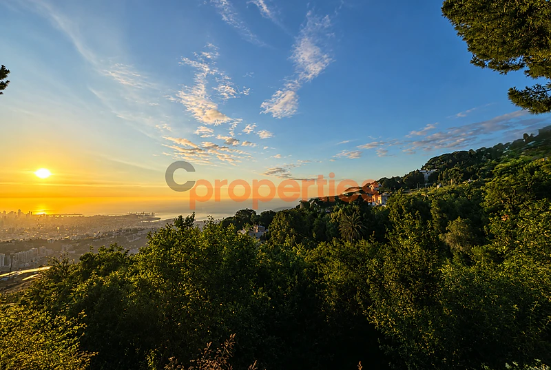 Land for Sale in Ain Saadeh أرض للبيع في عين سعادة CPSM528