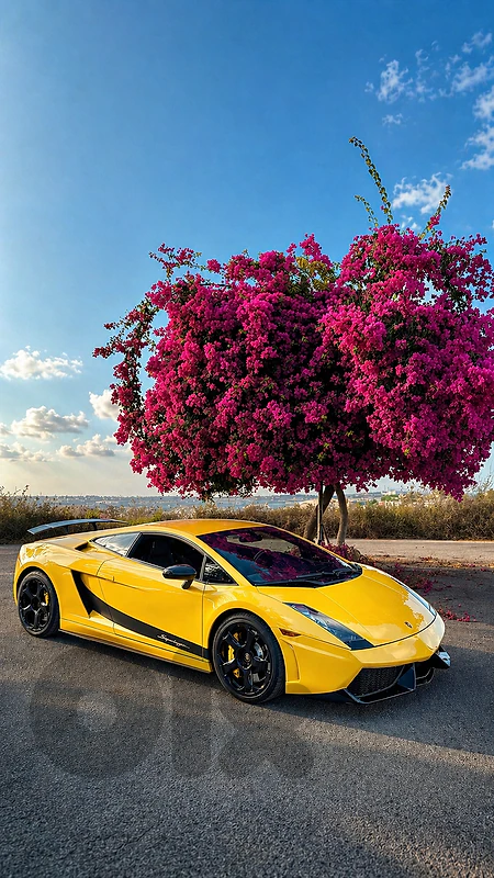 Lamborghini Gallardo 2005 gallardo44