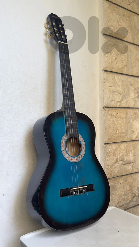 Guitar Acoustic "Karl Schneider"