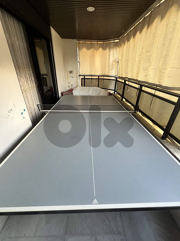 Ping Pong (Table tennis) Table