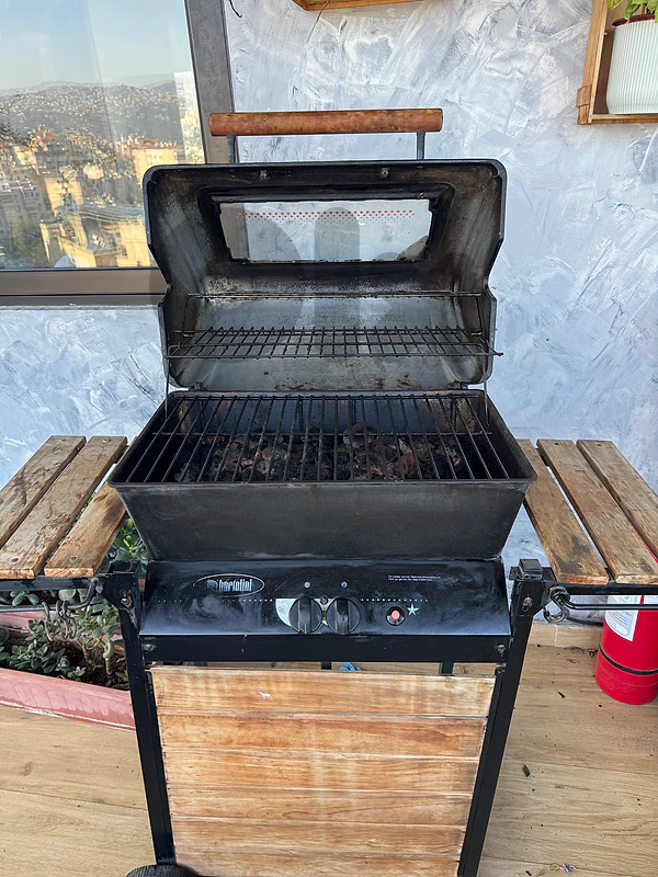 terrace and outdoor barbecue