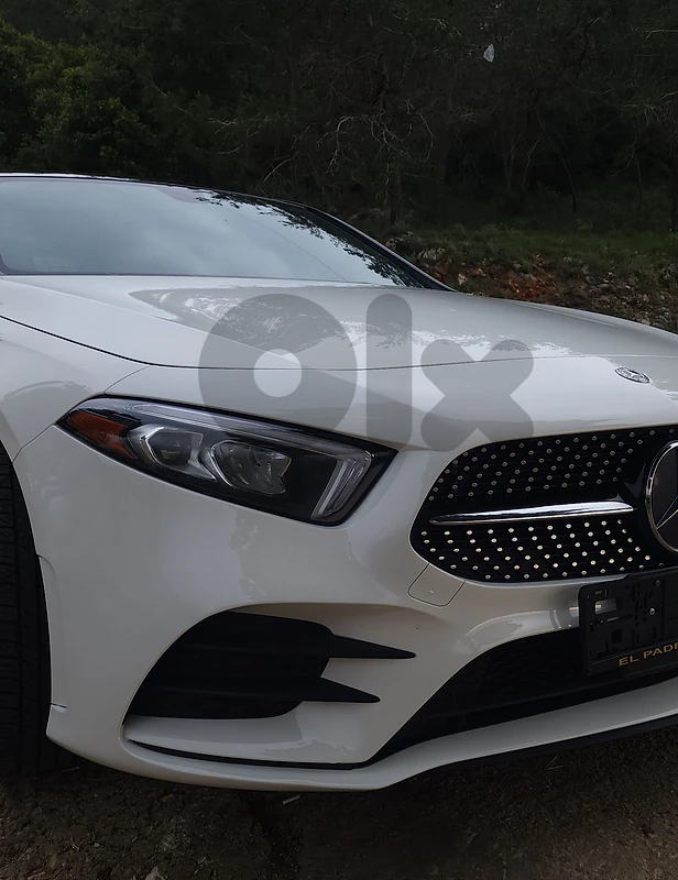 Mercedes-Benz A-Class 2019 250