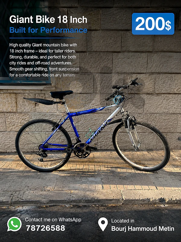 giant bike