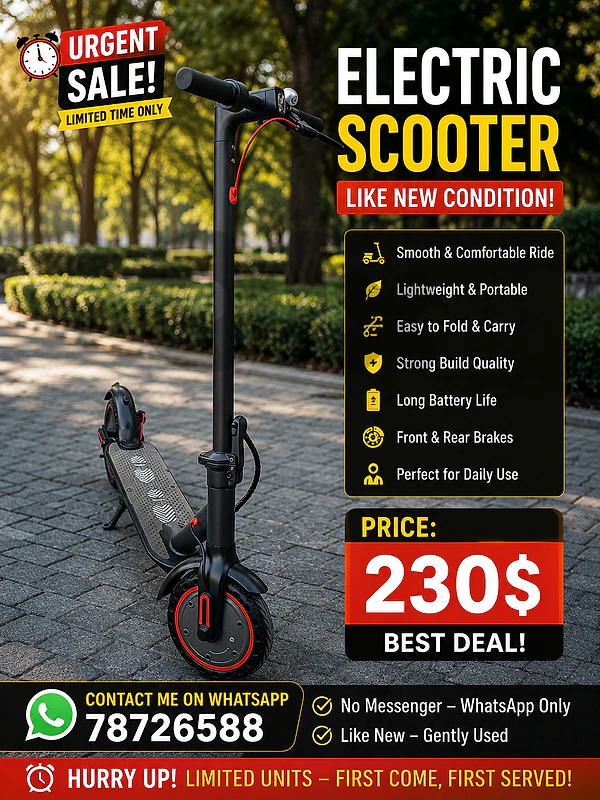 electric scooter