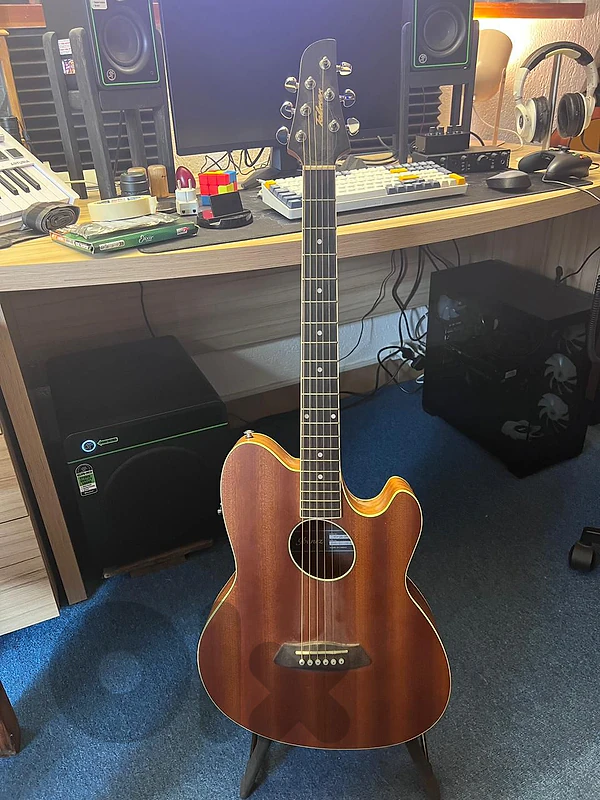 acoustic guitar