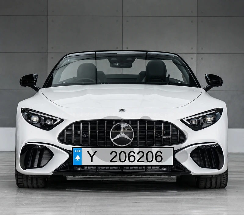Special 6 Digits Car Plate Number