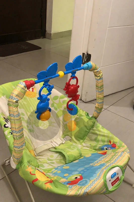 Baby Bouncer