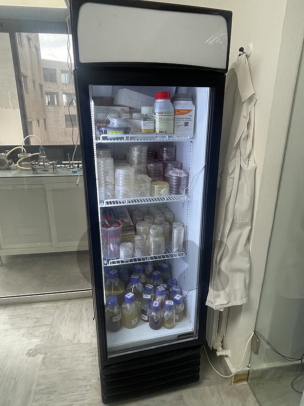 Concord glass door refrigerator