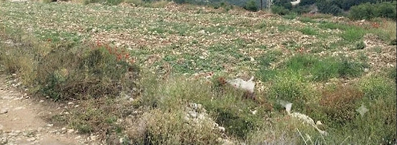 Catchy Land for Sale Eddeh Jbeil ارض للبيع ادي جبيل