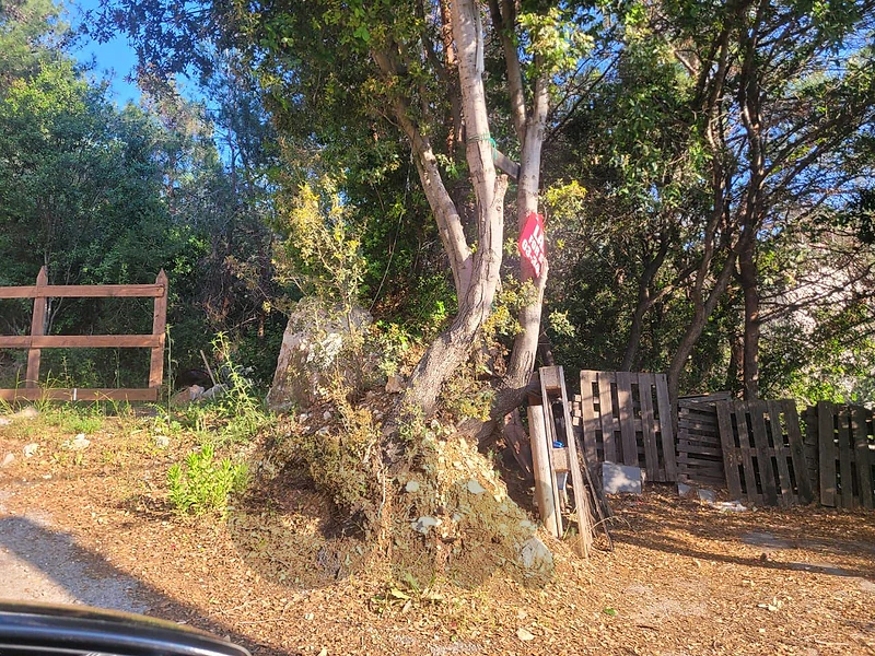 land for sale in rabweh أرض للبيع في الربوة