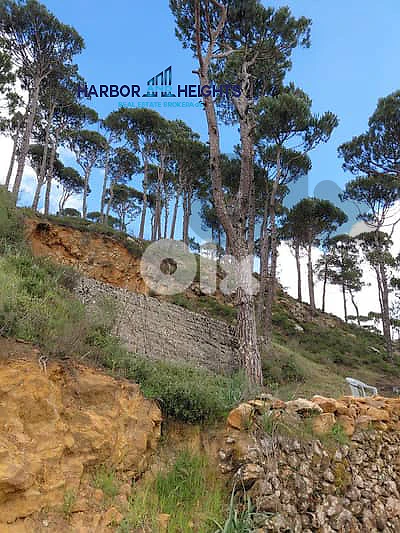 Land for Sale in Chouf Aley - أرض للبيع في منطقة الشوف عاليه
