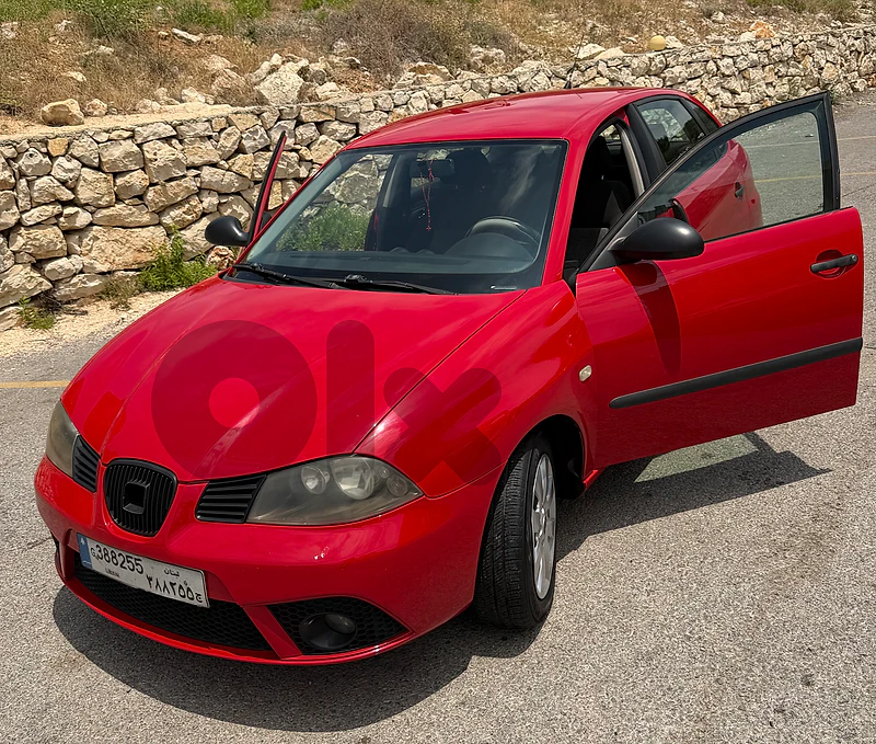Seat Ibiza 2009