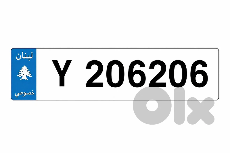 Special 6 Digits Car Plate Number